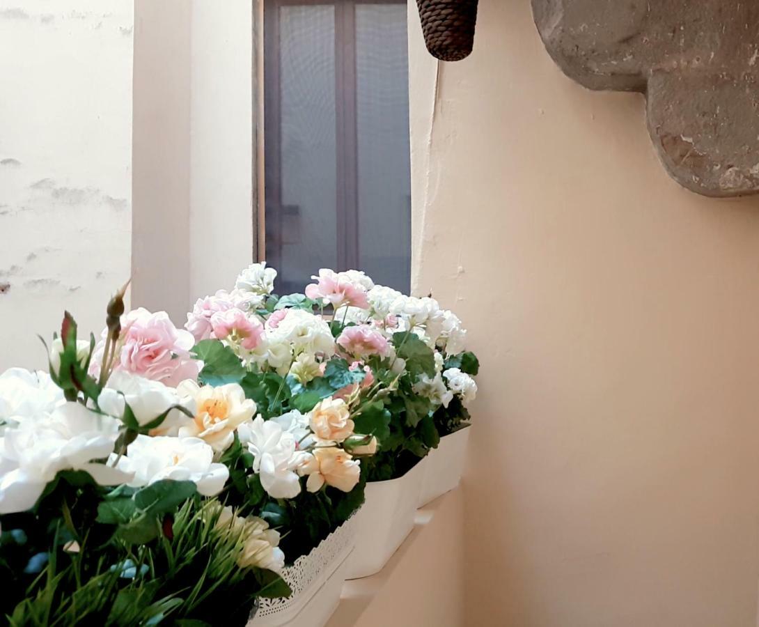 Velvet Loft - Santo Spirito Apartment فلورنس المظهر الخارجي الصورة